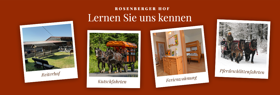 Lernen Sie uns kennen